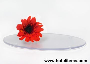 Oval Frosted Amenities Tray